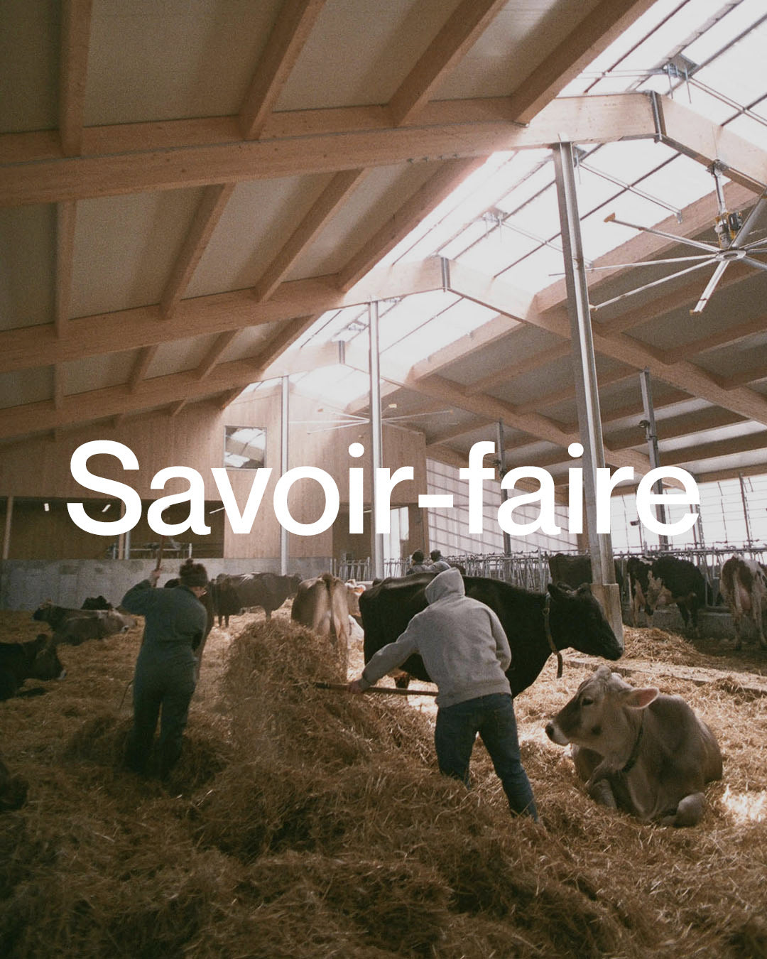 Le fromage